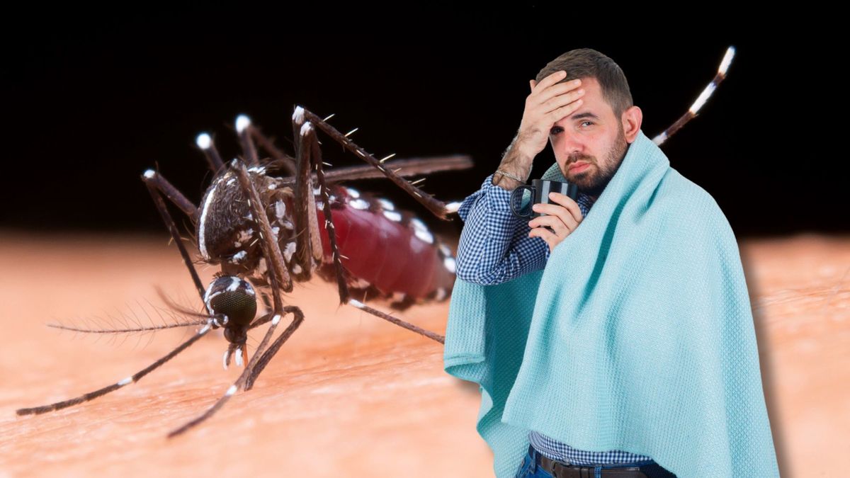 Dengue no se va tan fácil: alertan por secuelas después de la fiebre