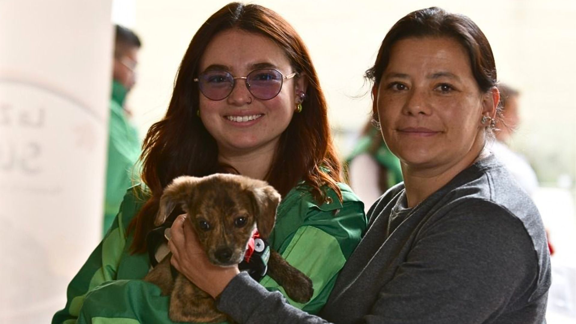 ¿Quiere adoptar mascota en Bogotá? Este domingo habrá jornada en Palatino