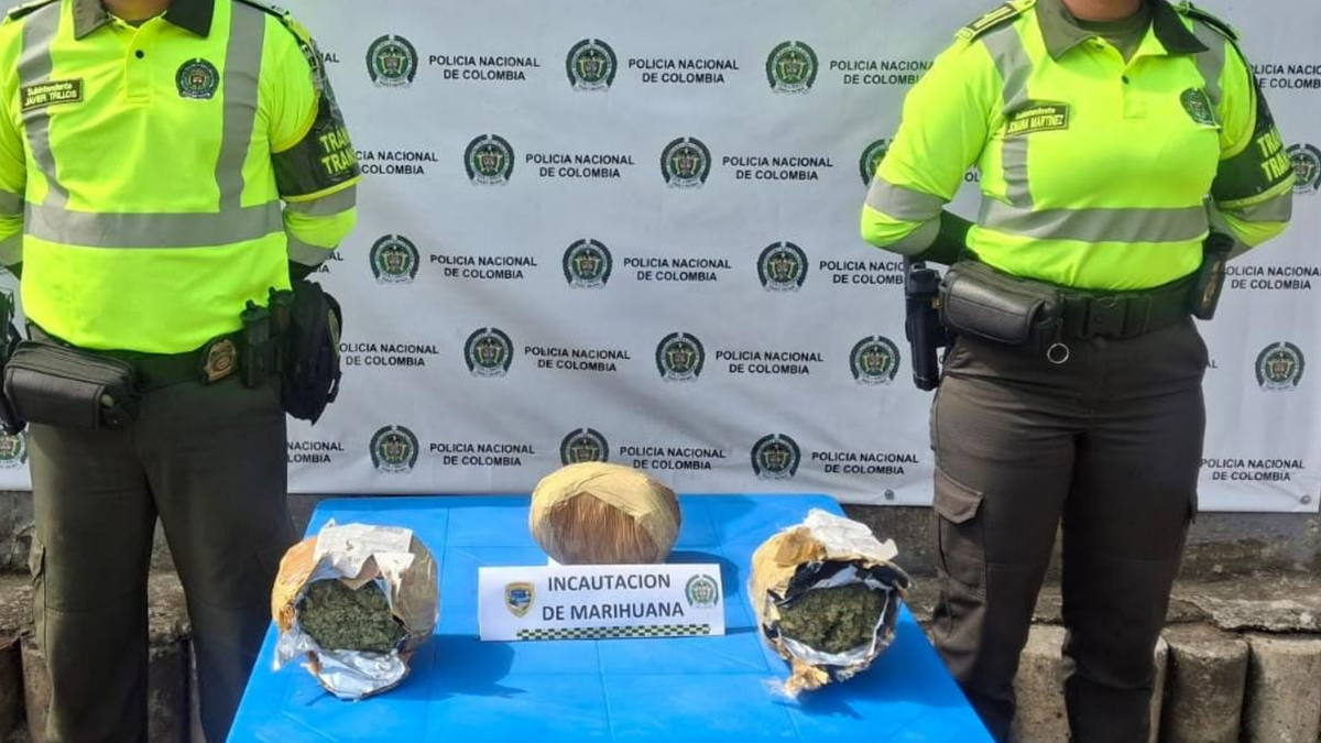Incautan dosis de marihuana ocultas en tractocamión en vía de Bolívar