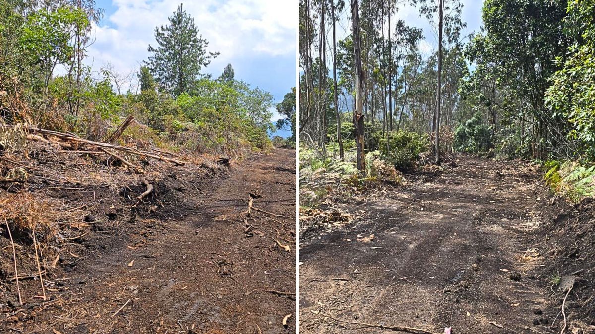 Abrieron vía a la brava en Ráquira y dejaron grave daño en el bosque