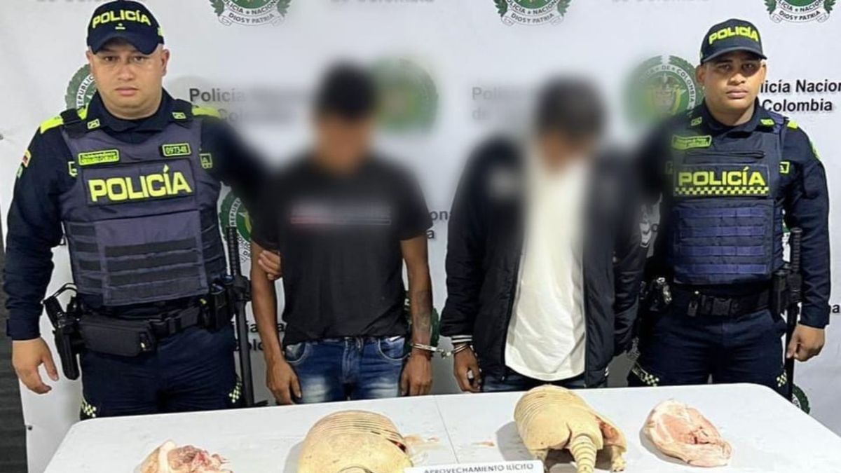 Capturados con armadillos