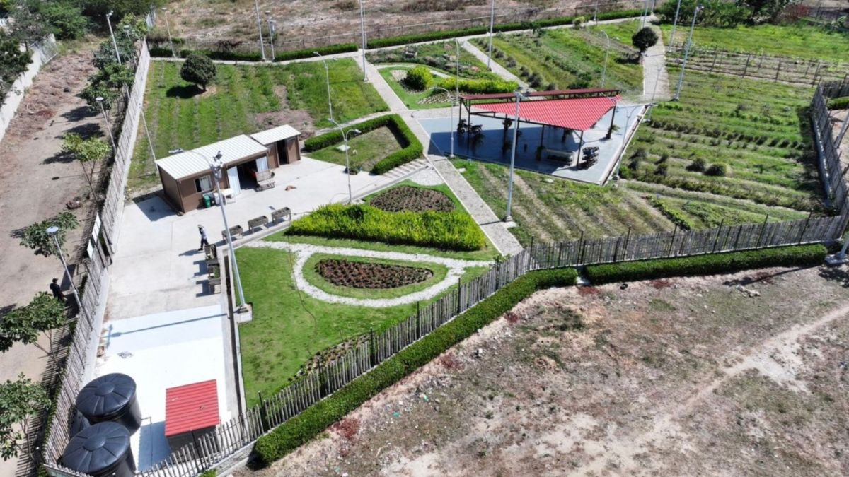 Huertas en Barranquilla