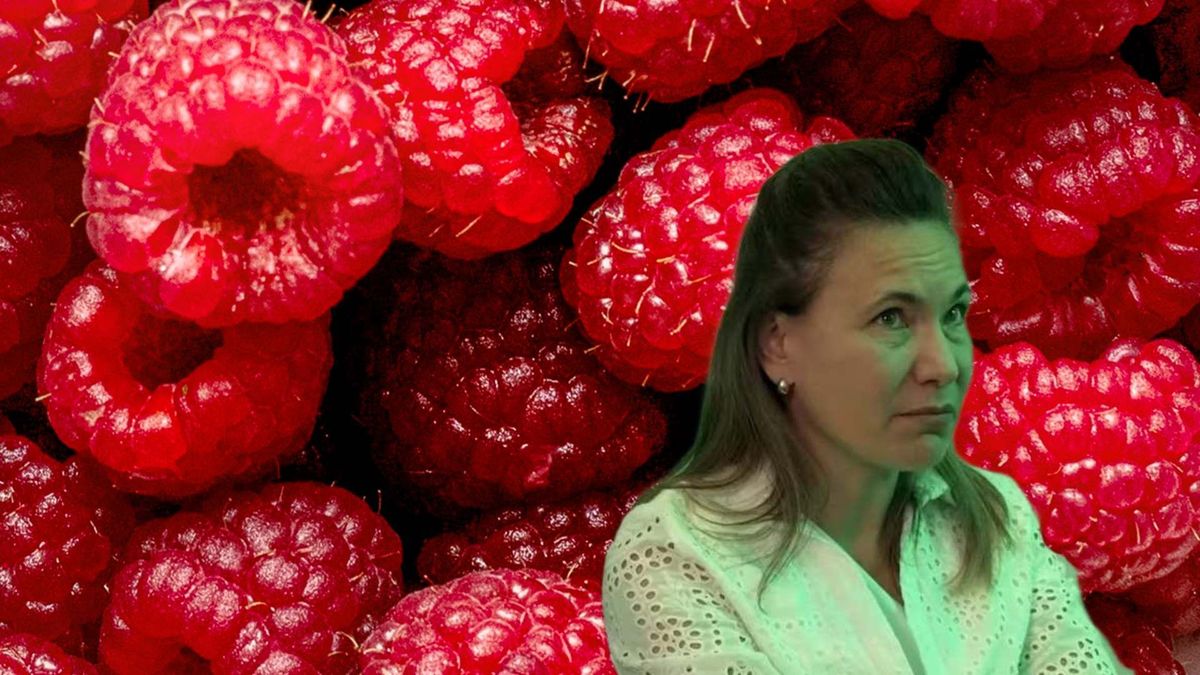 Zulma Guzmán, investigada por el caso de las frambuesas con talio