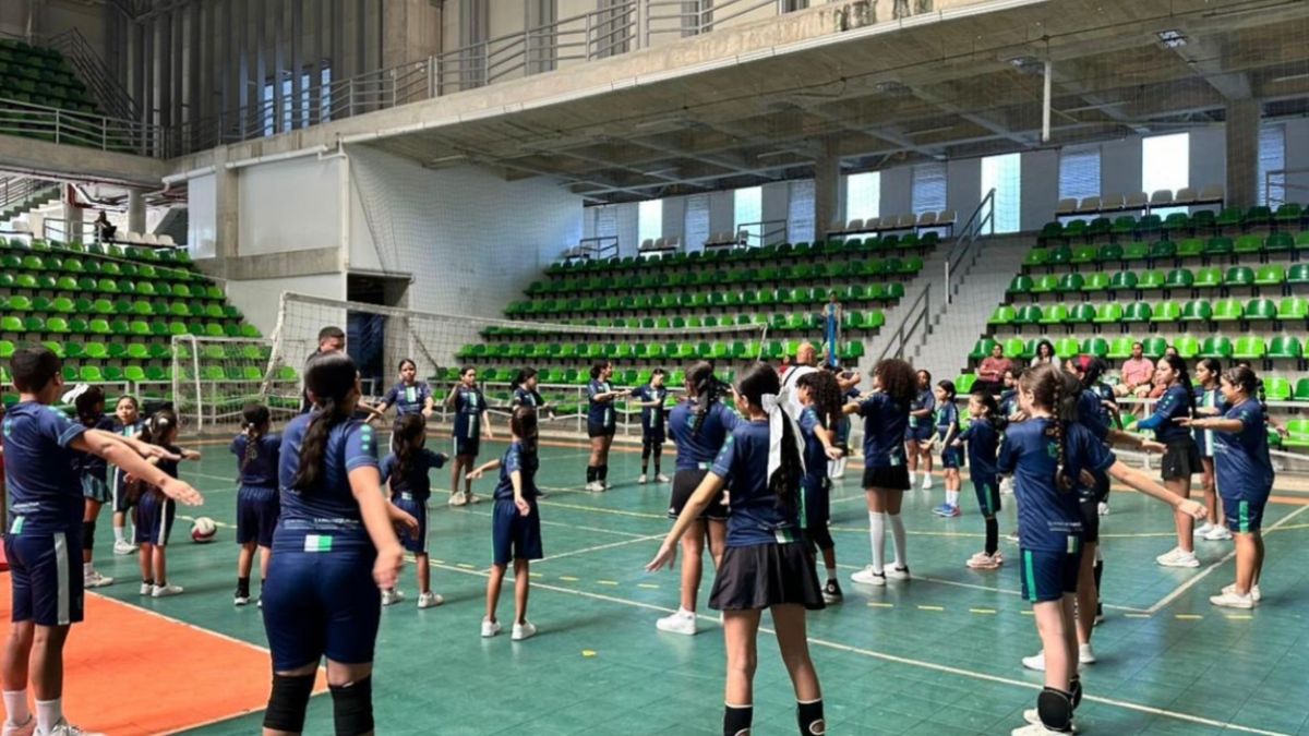 Escuelas de formación deportiva