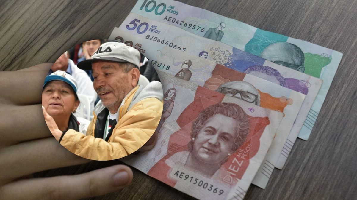 Billetes colombianos y beneficiarios del Ingreso Mínimo Garantizado