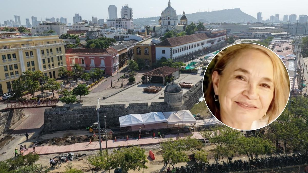 Los hechos ocurrieron durante un hurto en el barrio Ternera