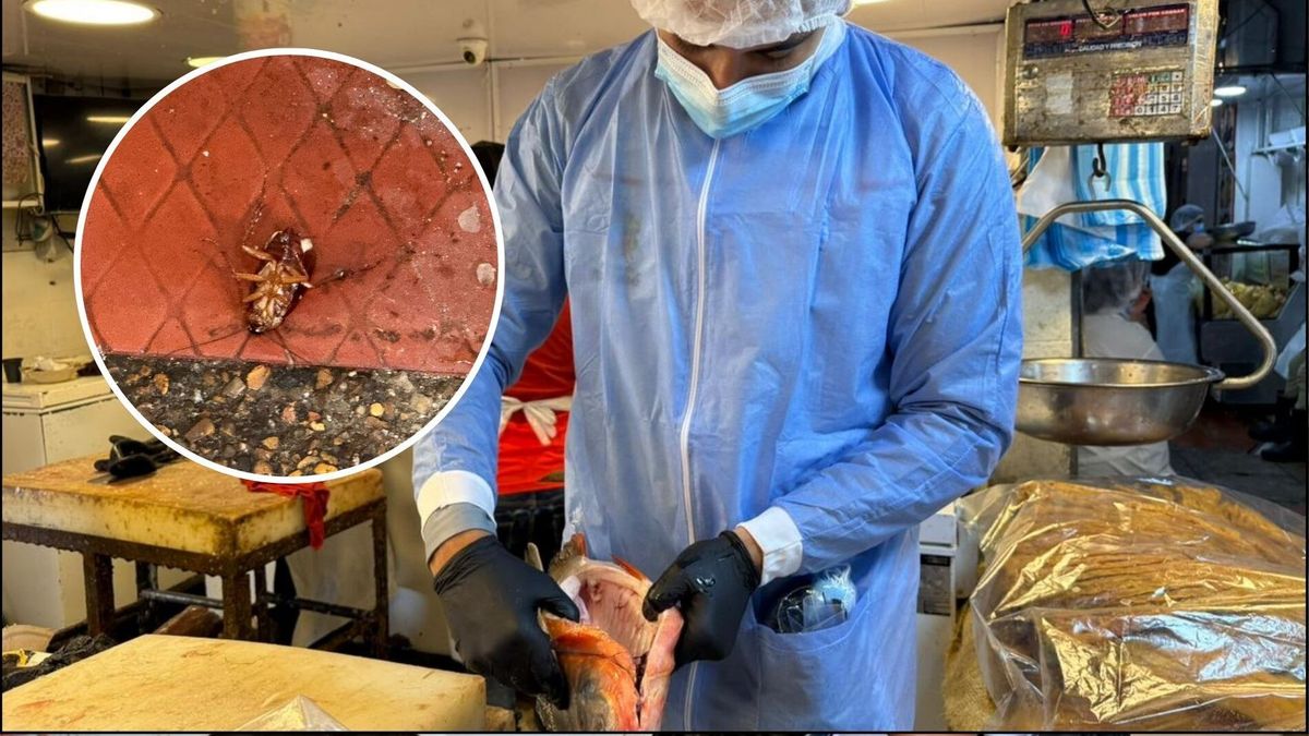 Descomposición alimentos | Pescado en Mal Estado | Semana Santa | Marzo 2026