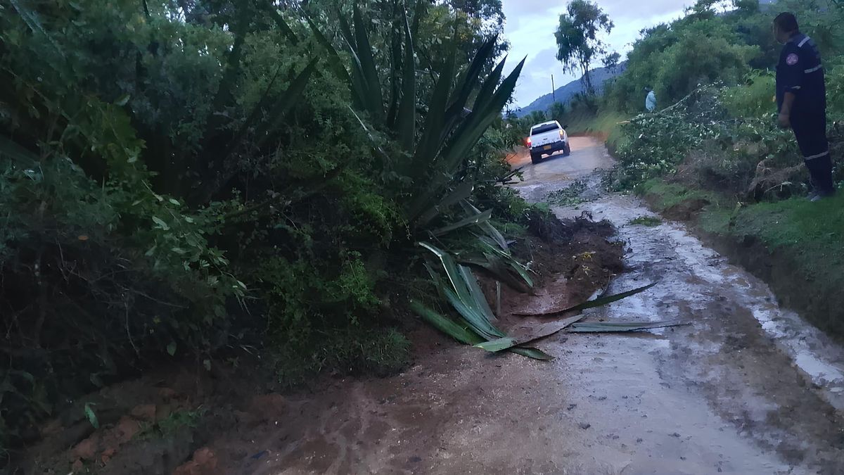 Afectaciones dejan las lluvias en varios municipios del Cauca