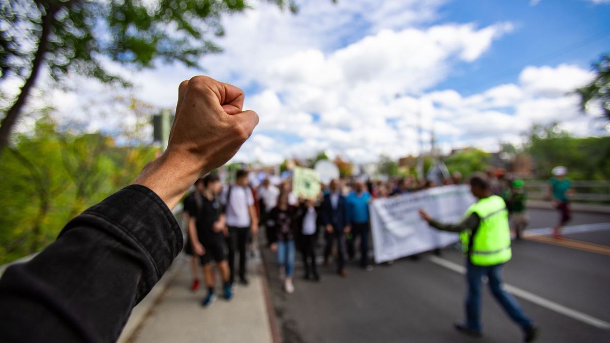 Imagen de referencia de manifestación