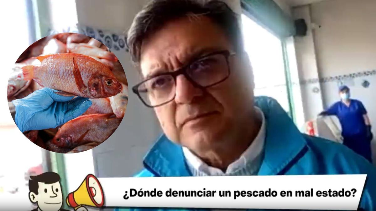 Gerson Orlando Bermont Galvis, Secretario Distrital de Salud de Bogotá - pescados