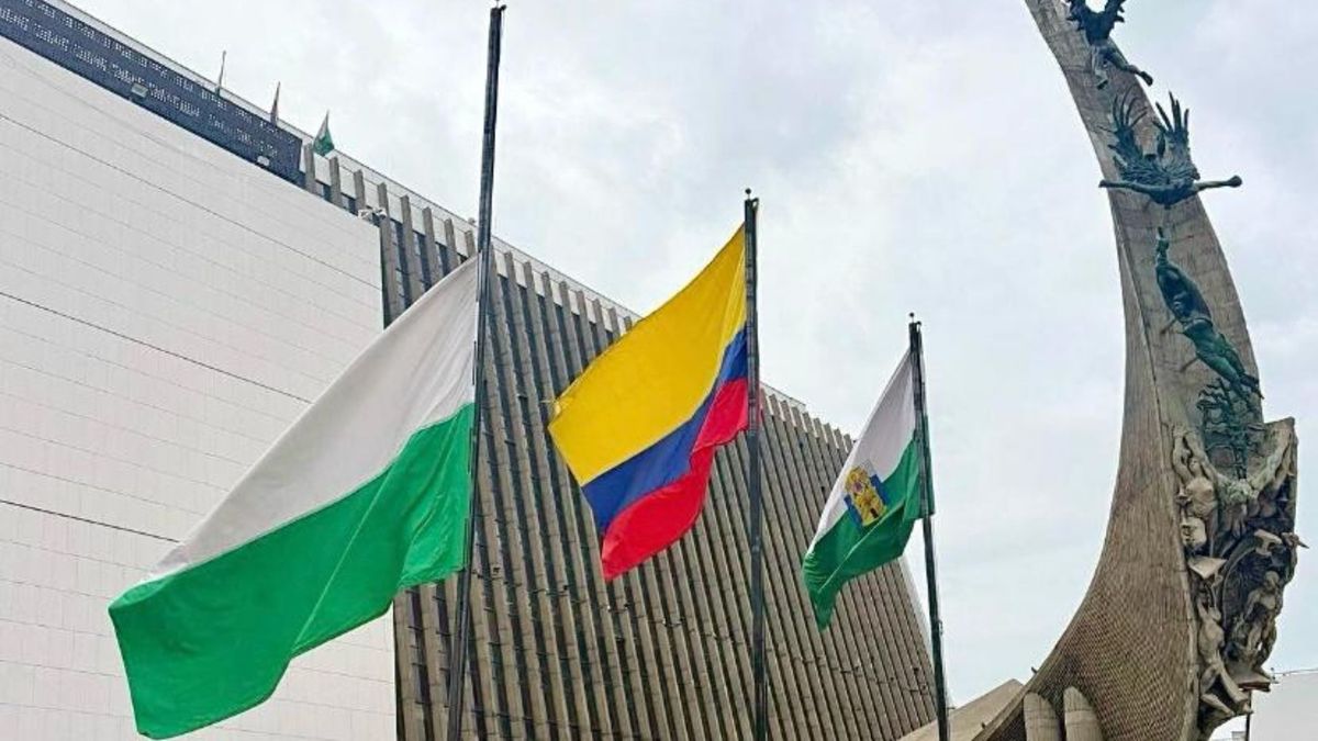 Sobre las causas del accidente de la aeronave con matrícula FAC 1016, el comandante de la Fuerza Aeroespacial, general Carlos Fernando Silva Rueda, aseguró que el avión se encontraba en óptimas condiciones técnicas.