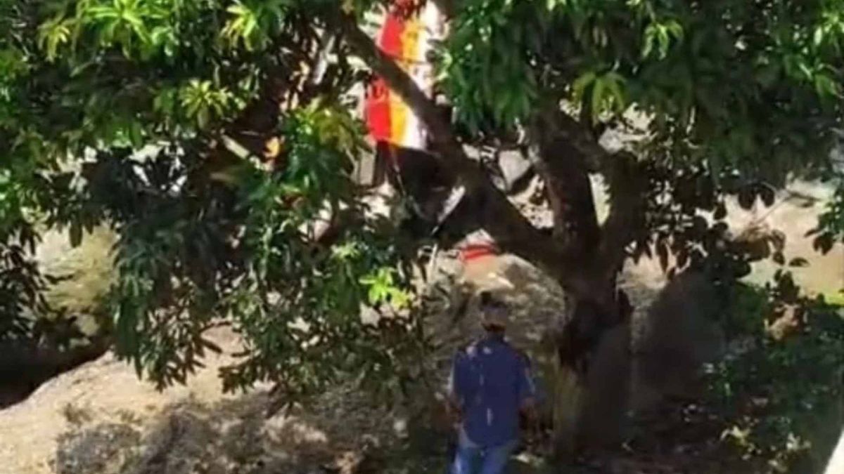 Un bus escalera cayó a un abismo en Buriticá, Antioquia