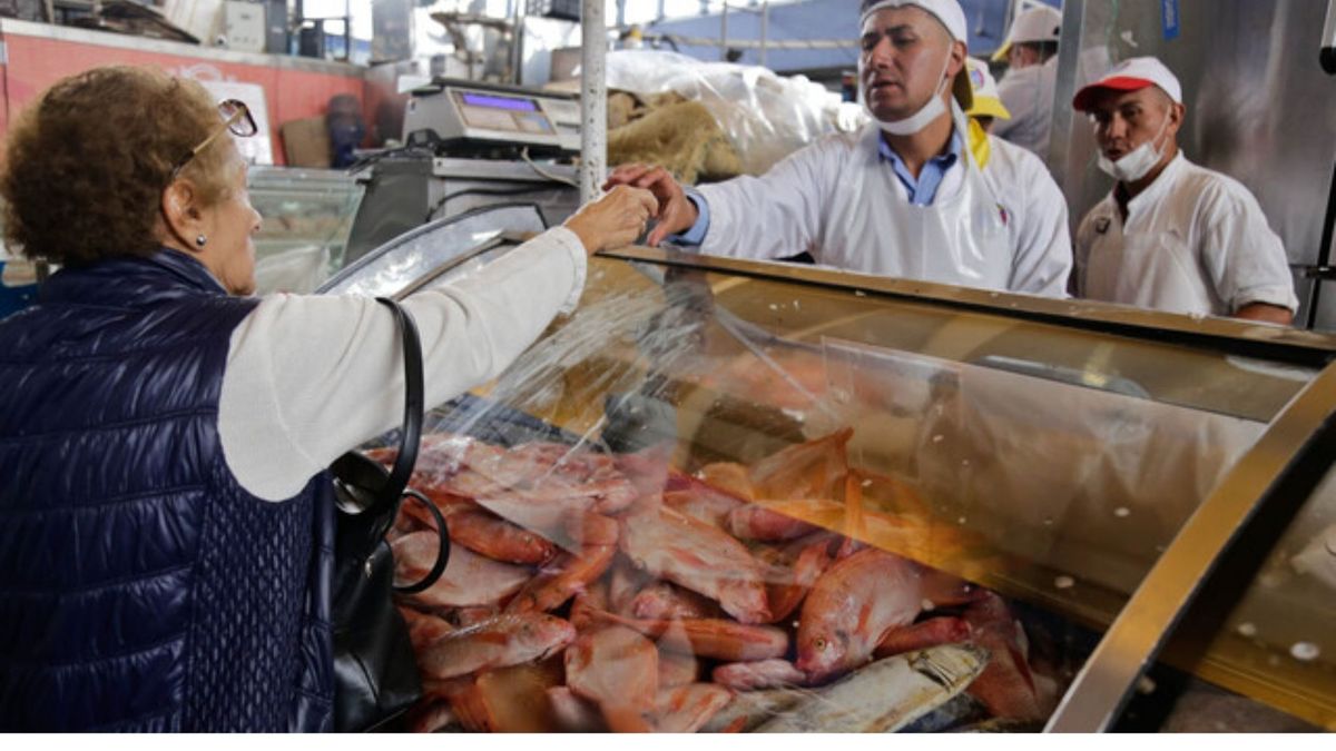 ¡A comer pescado! Bajó de precio la mojarra y el nicuro en Corabastos