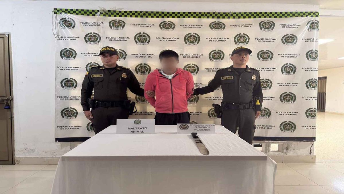 Capturado sujeto que atacó con machete a un perro en Pitalito.