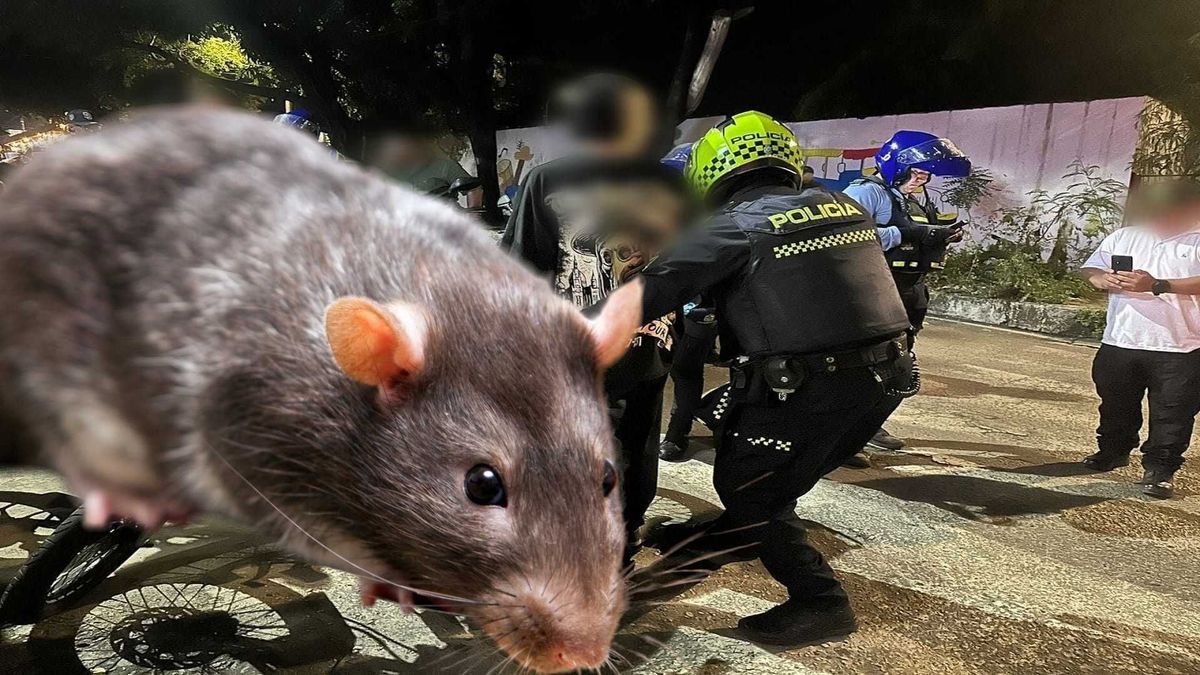 Controles policiales en Neiva