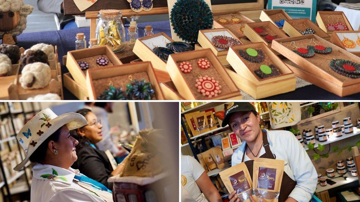 Cursos gratis del Sena con la CAR: requisitos y pasos para inscribirse