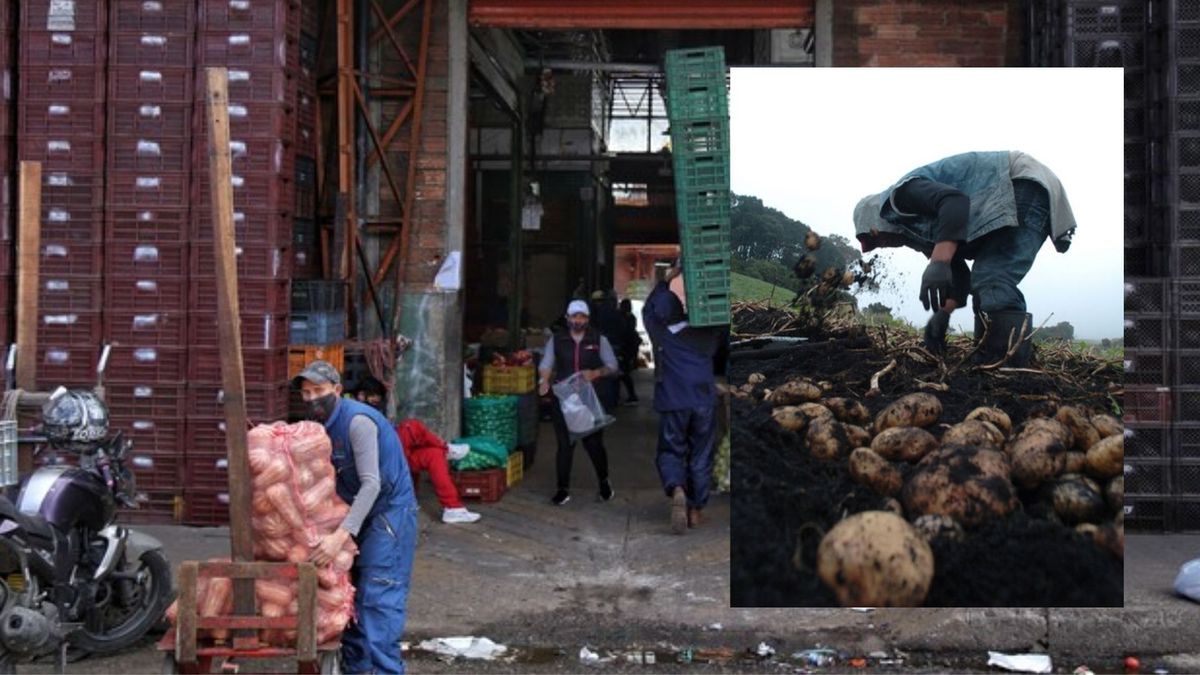Precios en Corabastos este 26 de marzo de 2026 alimentos que más bajaron HOY