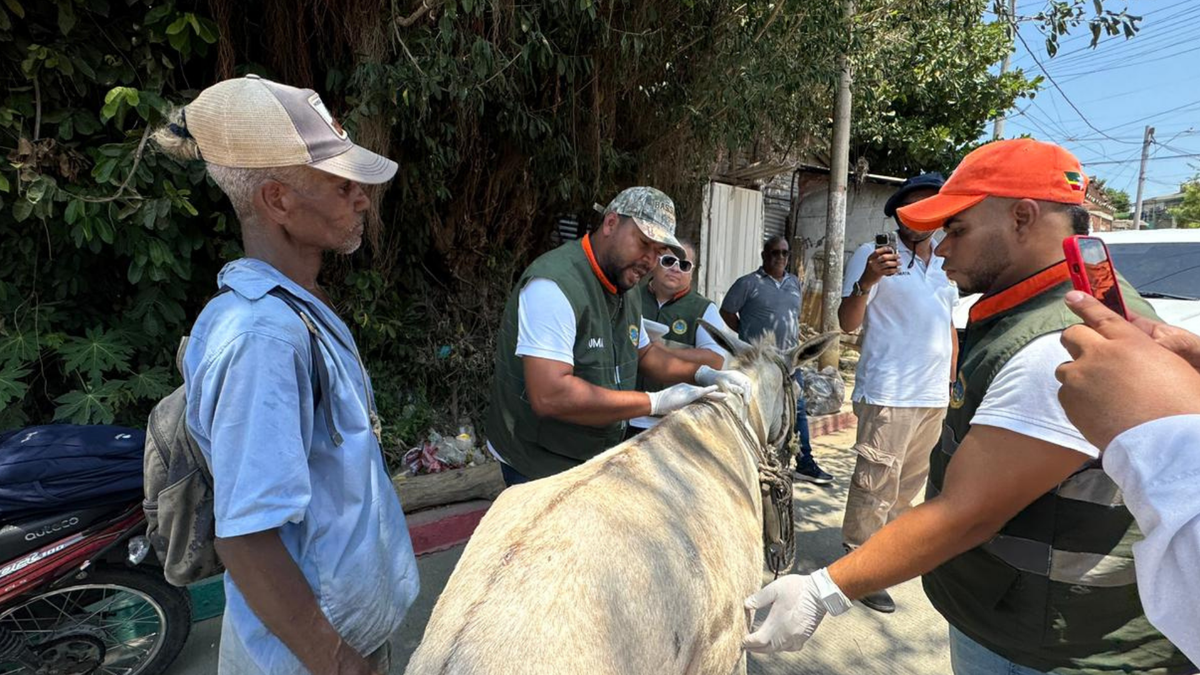 Umata rescata animales