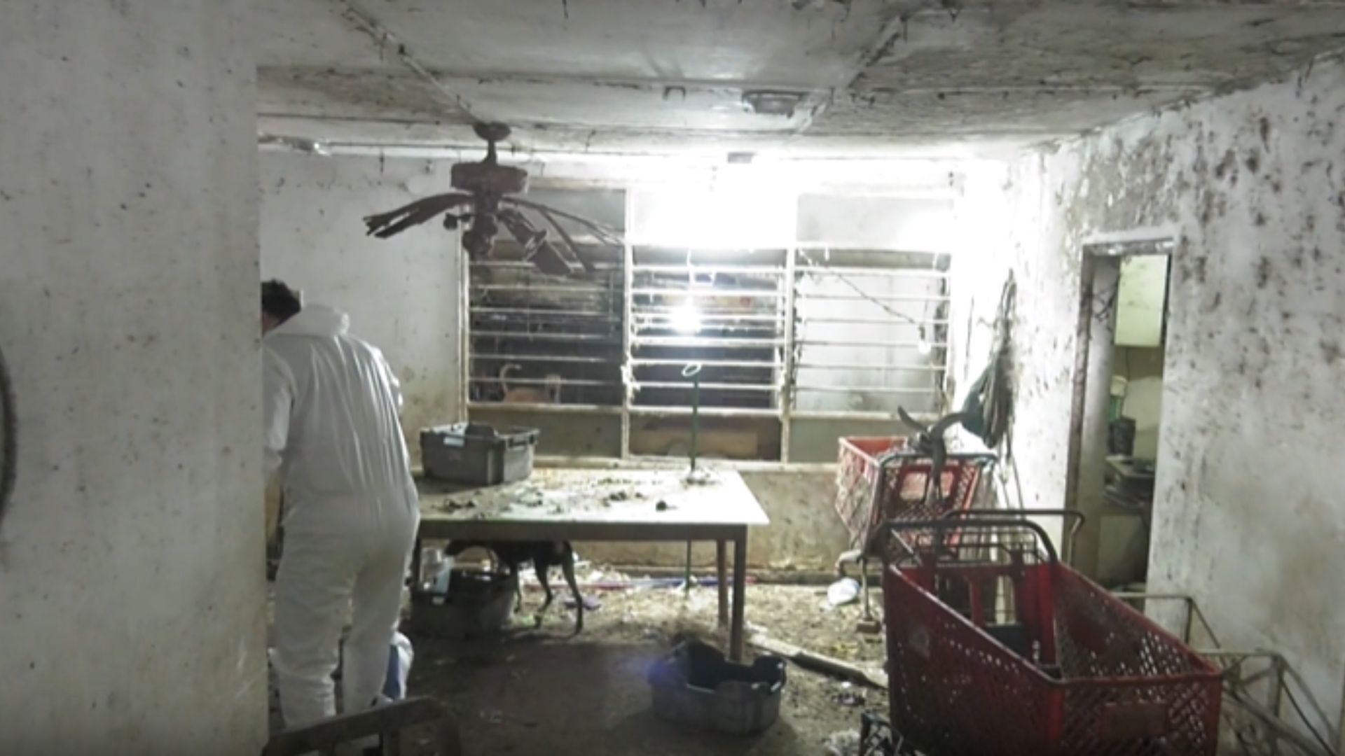 Intervención en casa de la 46 