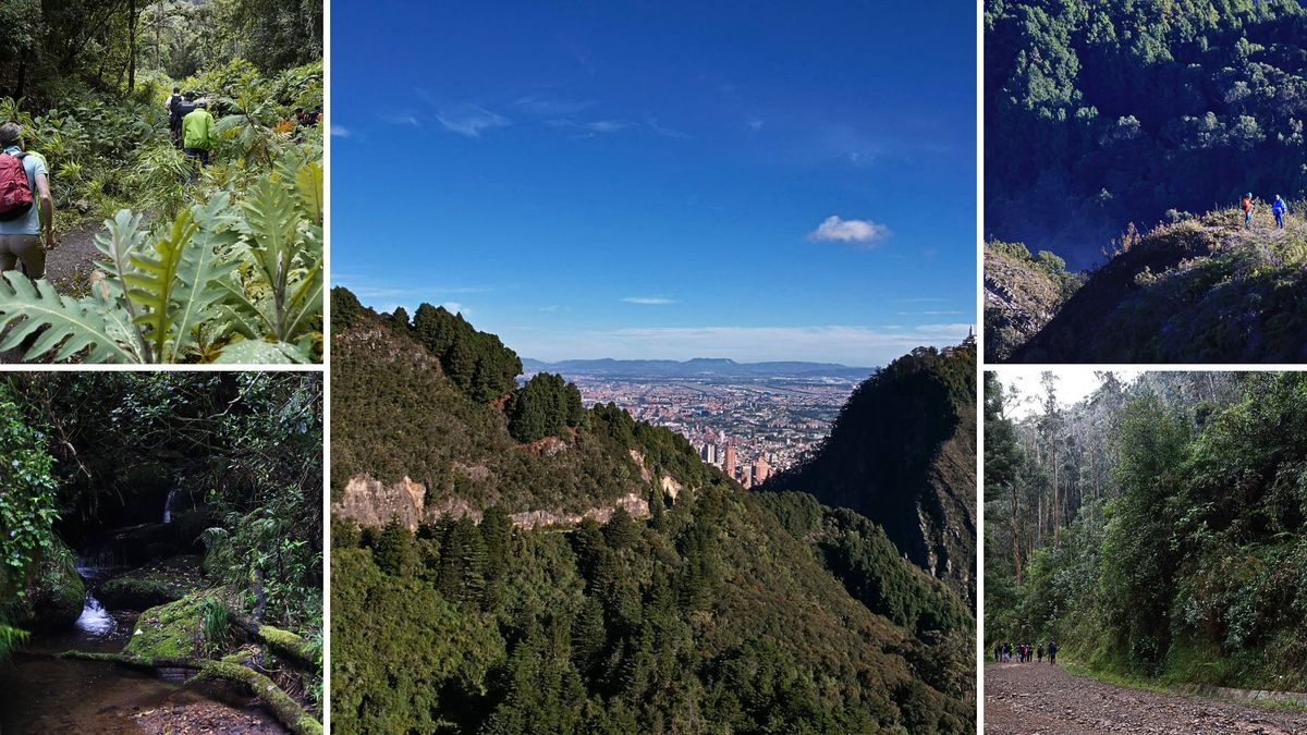 Senderos de Bogotá tendrán cierres en Semana Santa: revise fechas