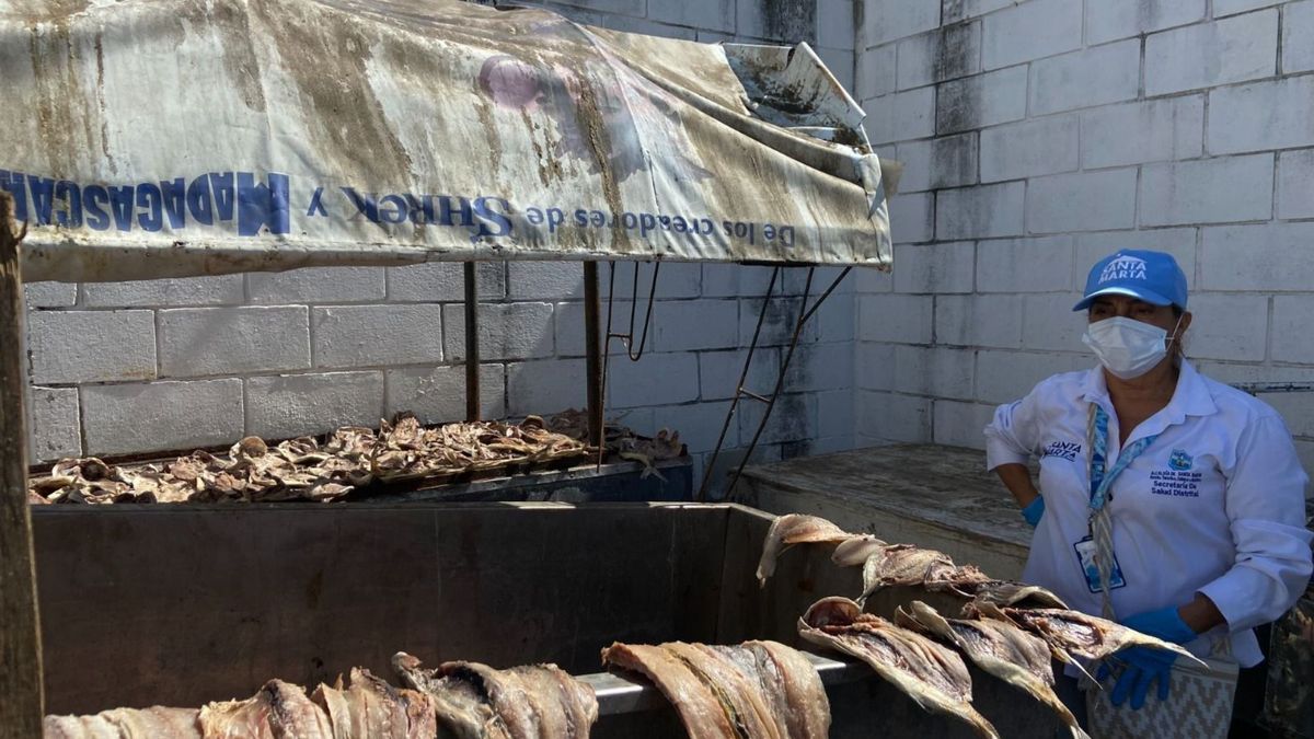 Pescado en mal estado en Santa Marta