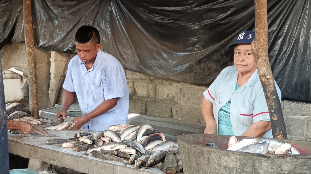 Vigilancia a la venta de pescado