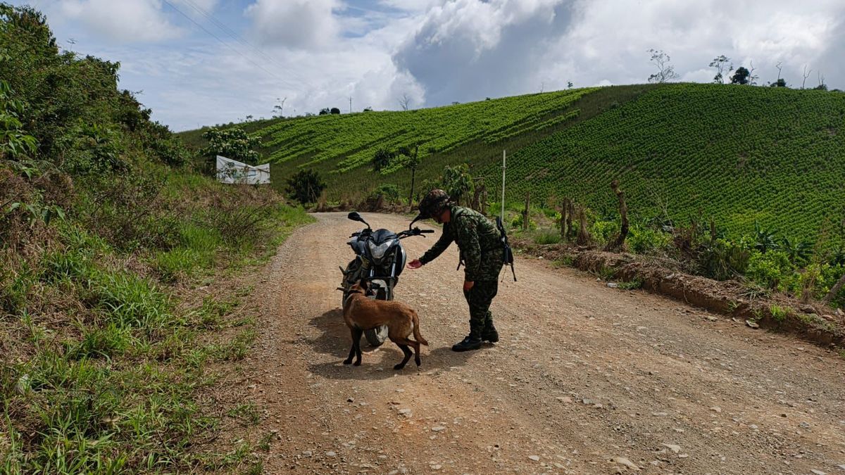 Con una motocicleta bomba se pretendía atacar a la fuerza pública en el sur del Cauca