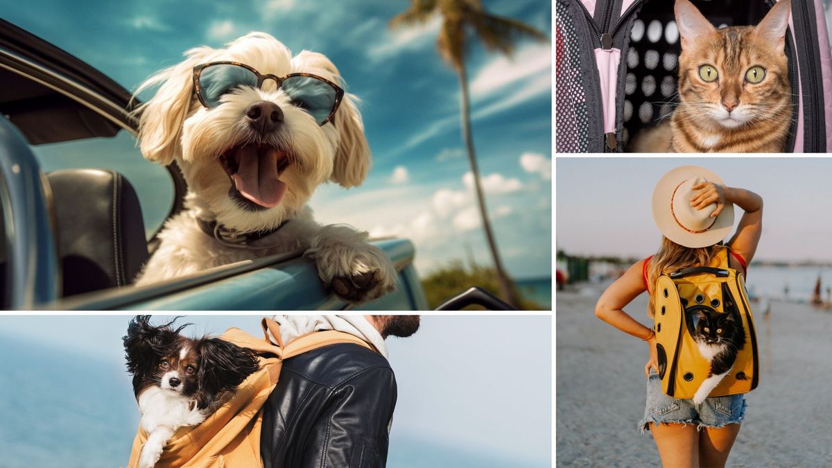 Guía clave para llevar su mascota a viajar en Semana Santa