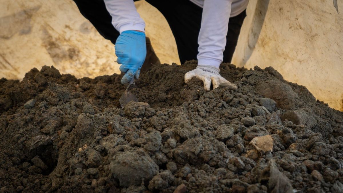 Personal investigativo inspeccionando unos escombros