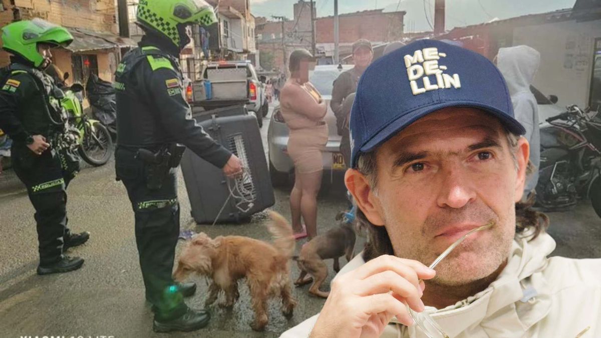 Rescatan a dos perros maltratados en Medellín