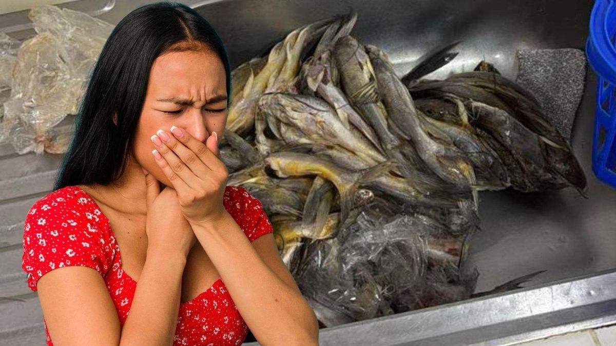 Pescado en mal estado en Armenia, Quindío