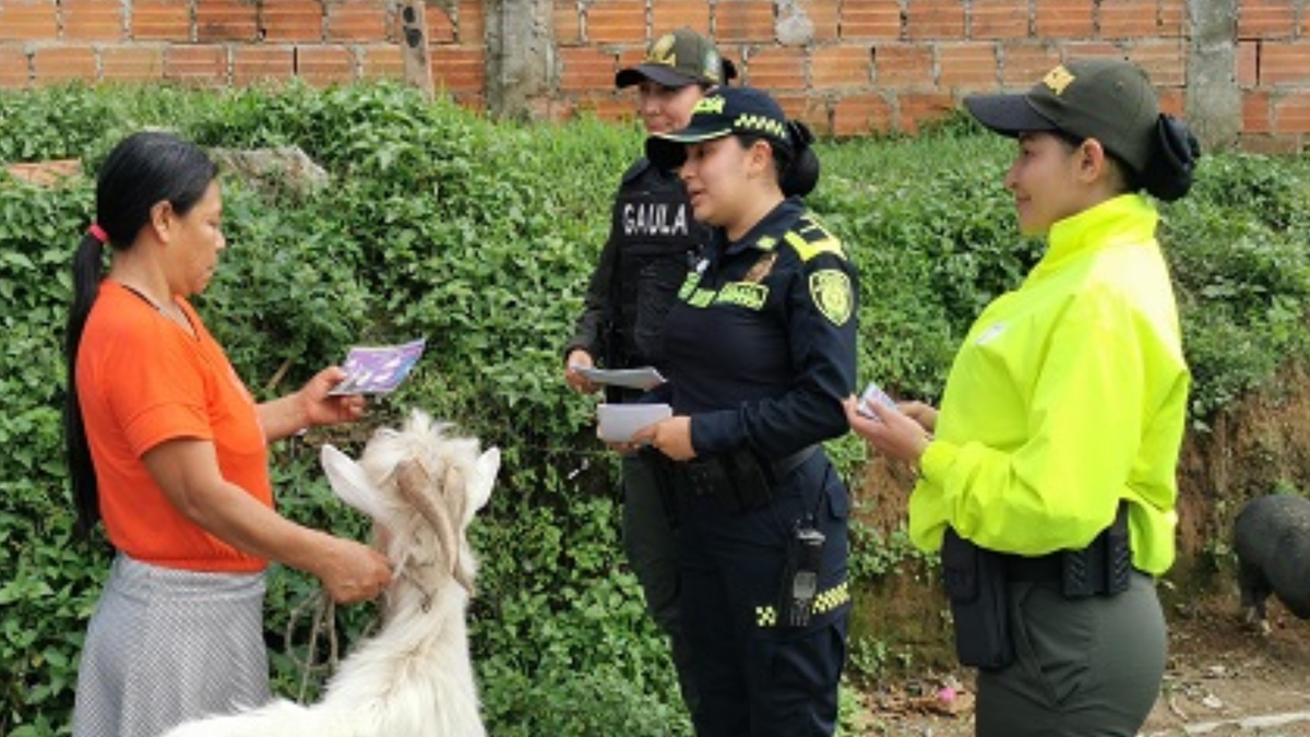 La estrategia que permite que mujeres pidan ayuda de manera discreta ante hechos de violencia de género