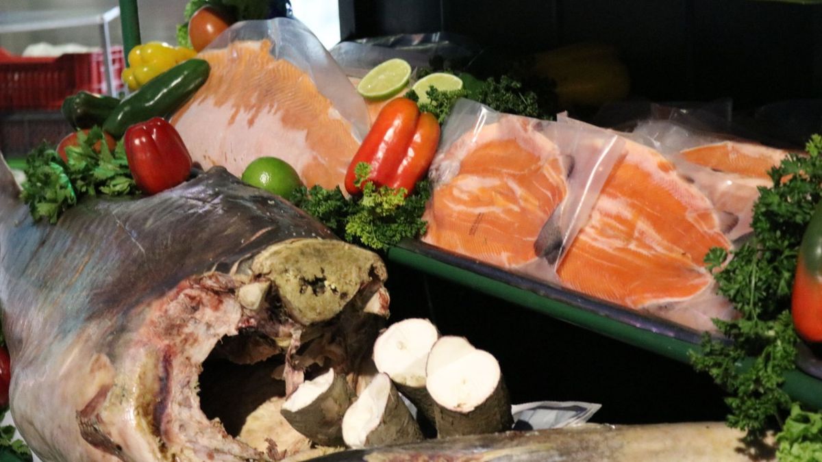 Pescado a la venta en Corabastos