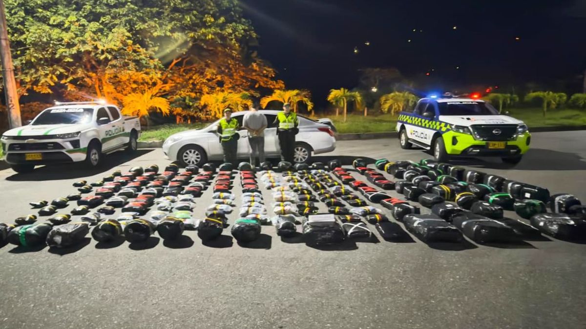 Incautación de Marihuana | Trafico de Estupefacientes | Cargamento | Marzo 2026