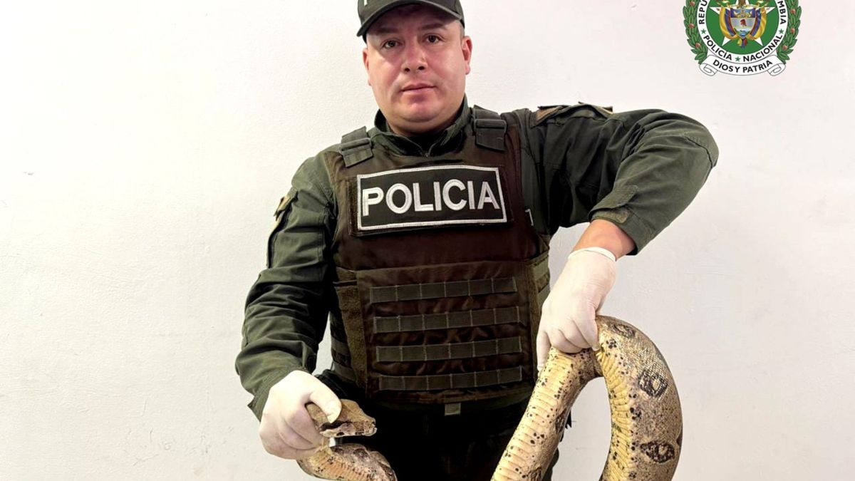 De manera simultánea, en el municipio de Guarne, uniformados lograron la captura en flagrancia de un hombre dedicado al expendio de sustancias alucinógenas.