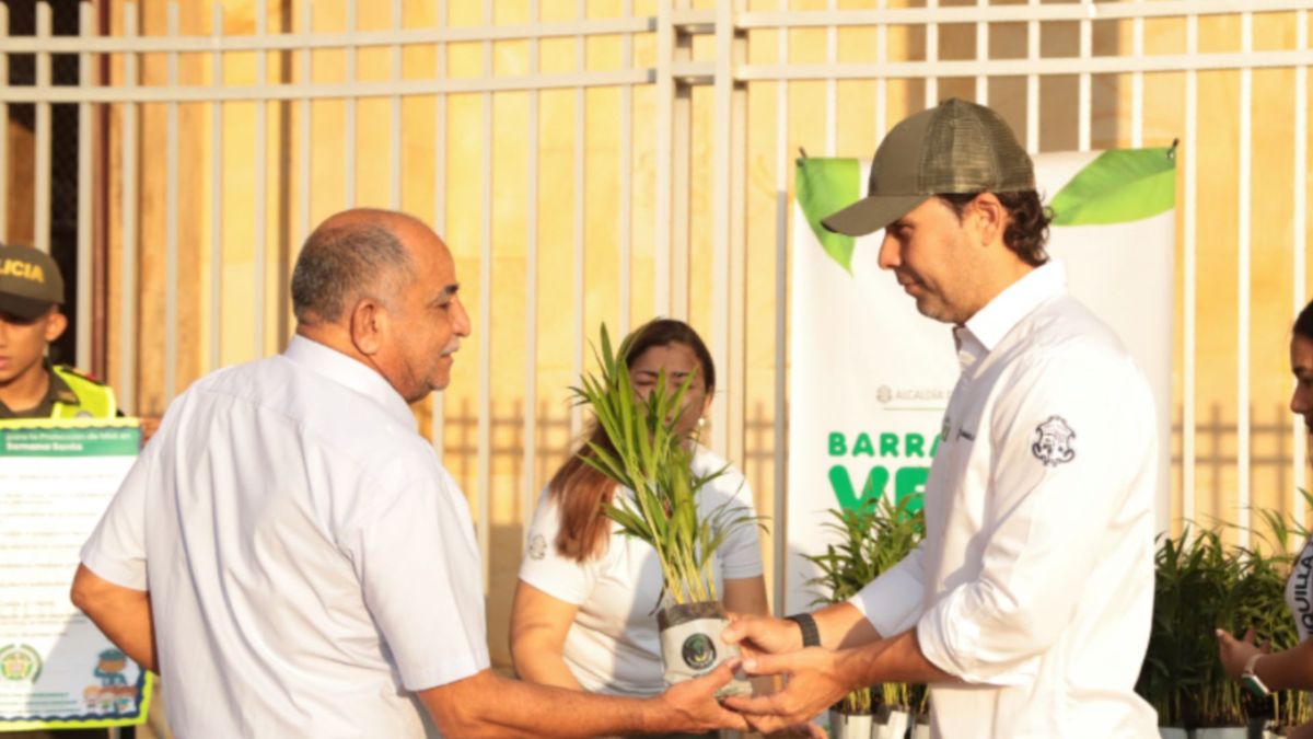 Entrega de plántulas