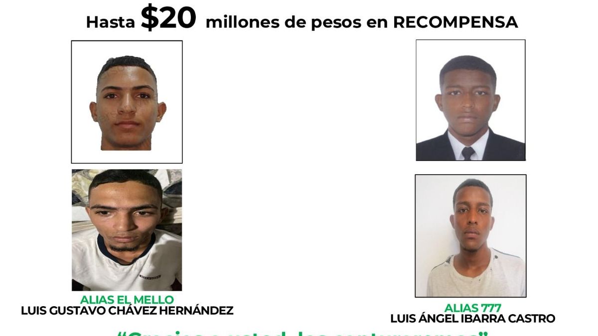 Recompensa de hasta 20 millones de pesos por información relevante