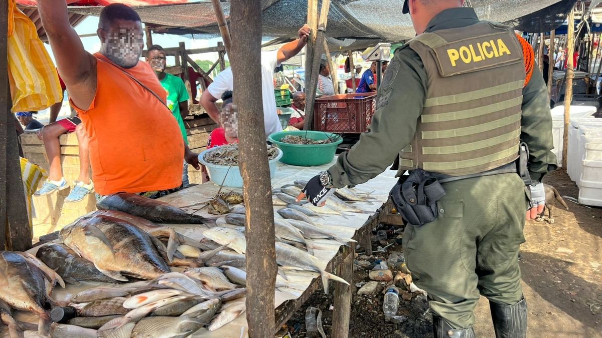 ¿Compra pescado en Bazurto? Esto es lo que debe revisar antes de asegurar la cena de Semana Santa