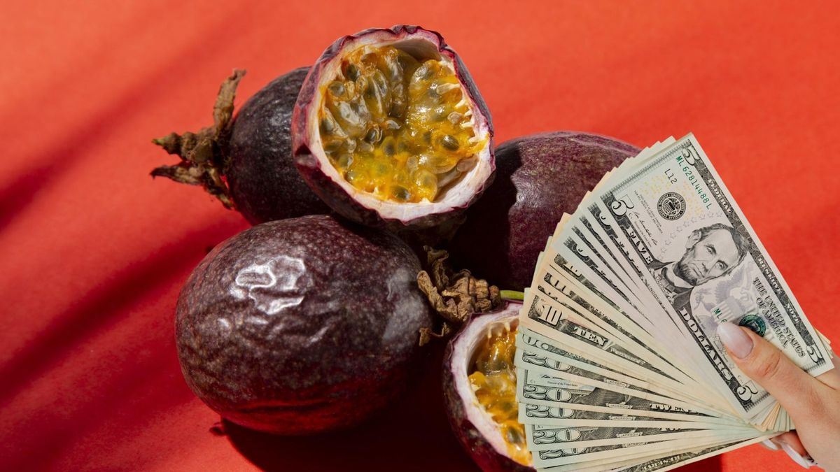 Cundinamarca conquista bares del mundo con fruta exportada