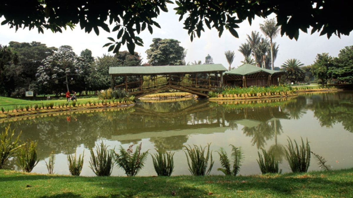 Lago del Jardín Botánico de Bogotá