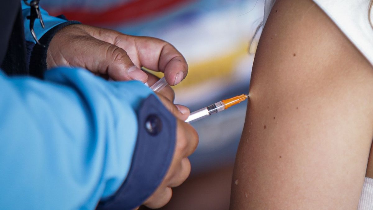 Vacunación (imagen de referencia)