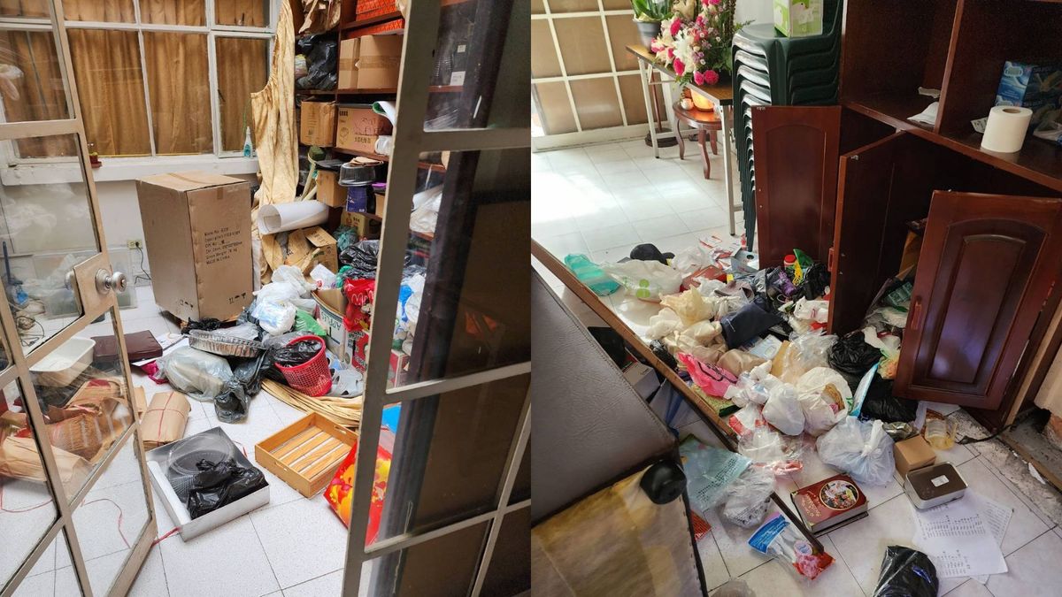 Huerto en casa de Chapinero, Bogotá