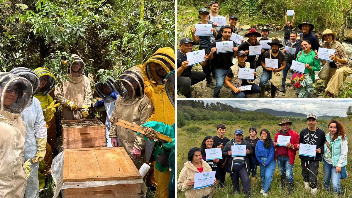 Cundinamarca forma ‘guardianes’ del ambiente: miles ya cuidan páramos y humedales