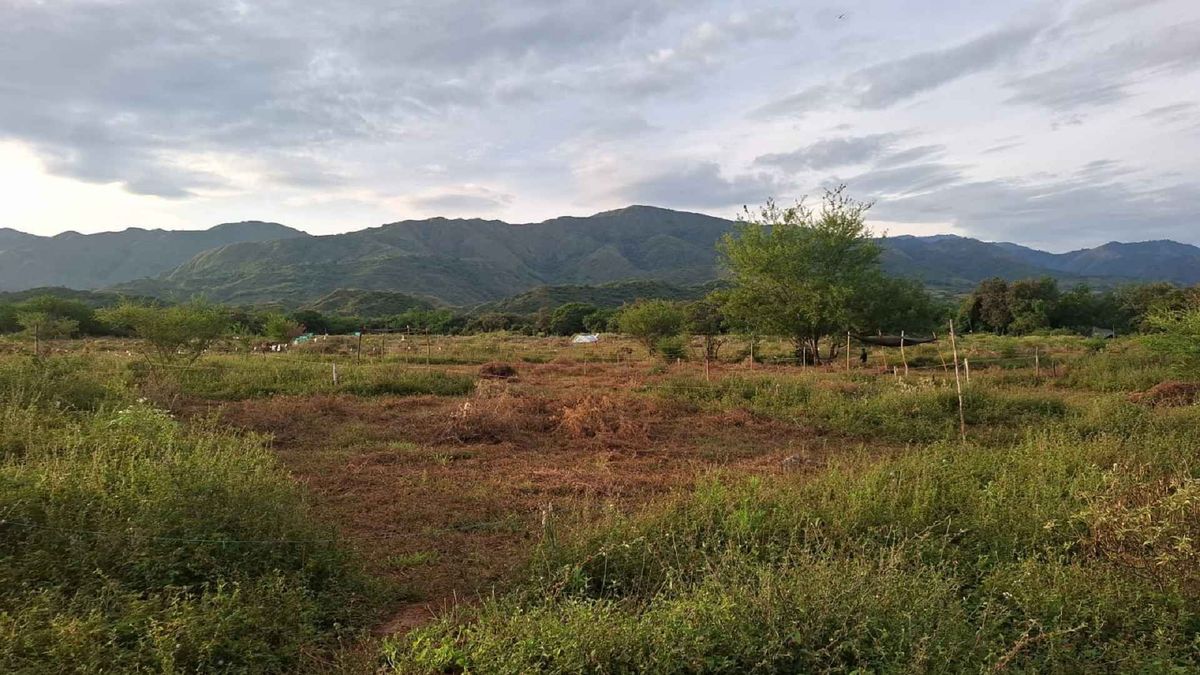 Predio La Chamba, Hobo, Huila