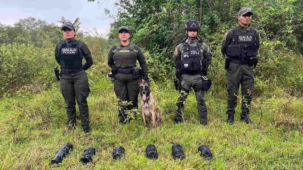 Artefactos explosivos encontrados en Neiva