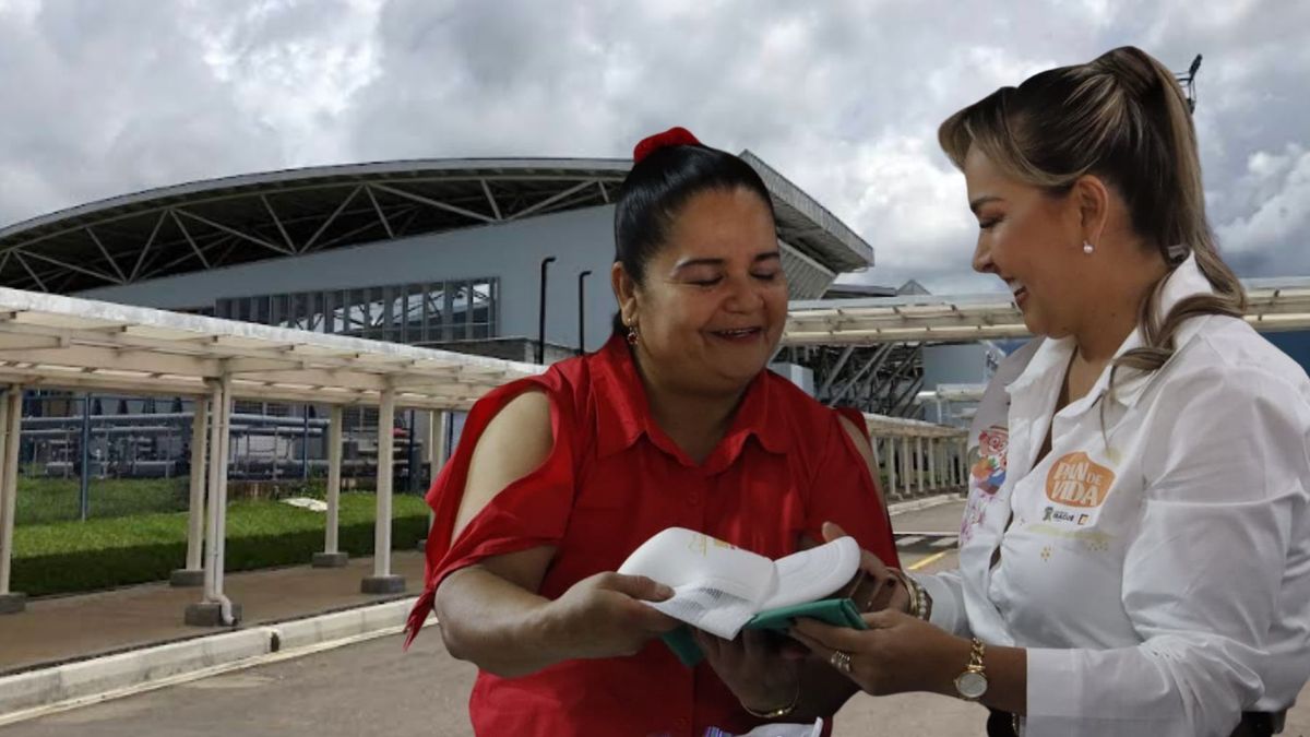Plan en Ibagué para conectar Tolima con el mundo