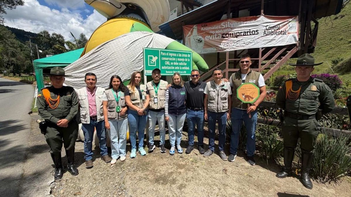 Operativos contra el tráfico de fauna en el Quindío