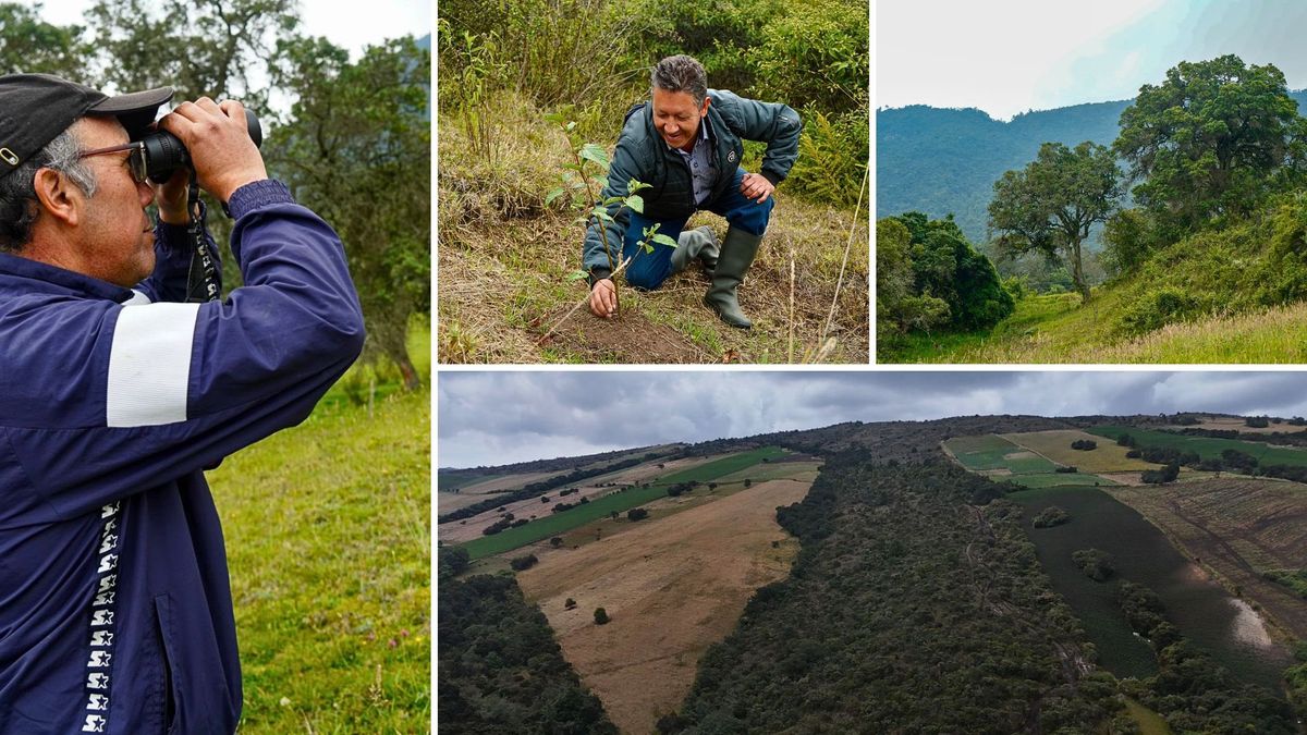 Cuidar el medio ambiente sí paga: CAR sube incentivos en Cundinamarca