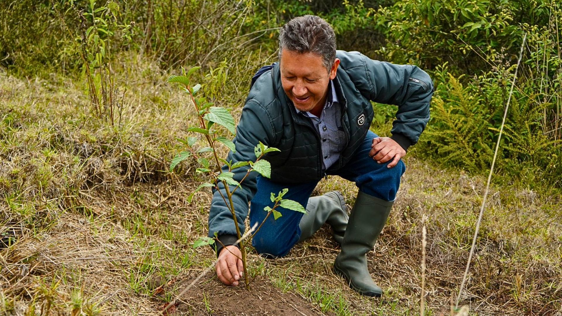 ¿Cuánto paga la CAR por cuidar el medio ambiente en 2026?