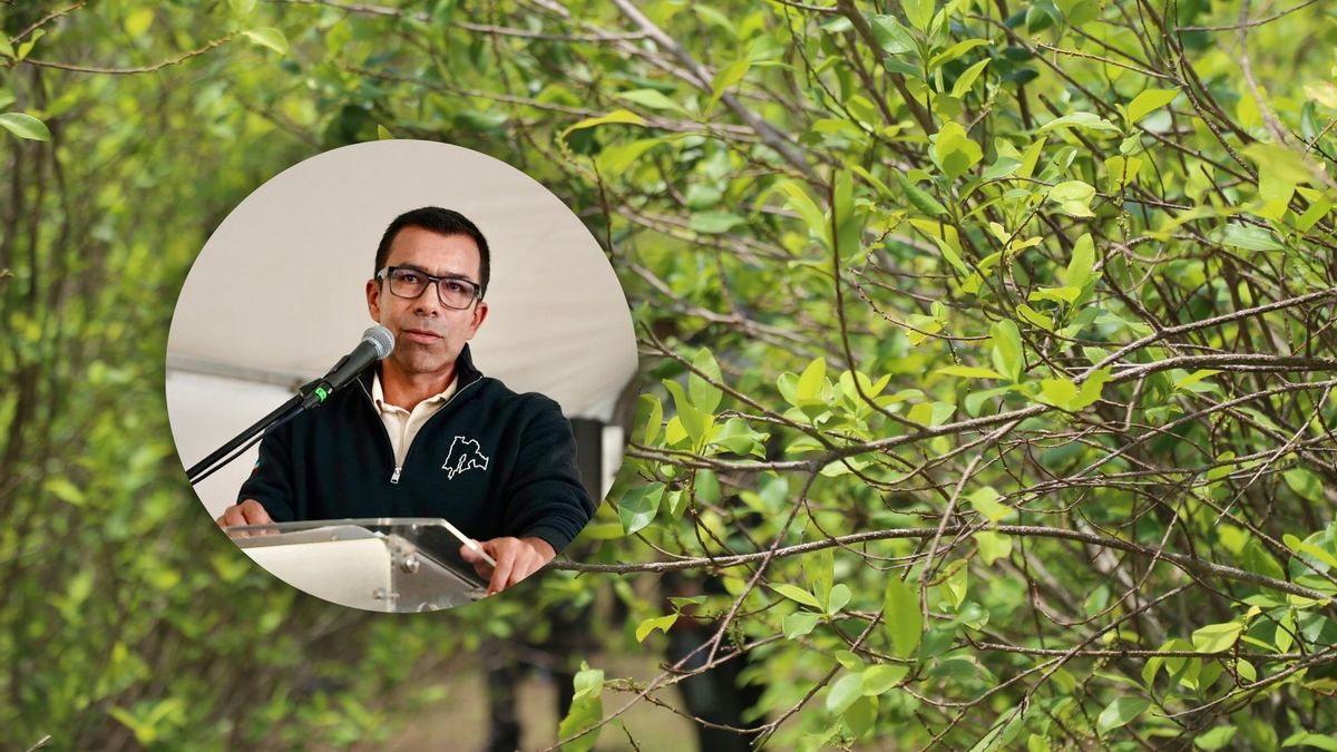 Jorge Rey y de fondo cultivos ilícitos